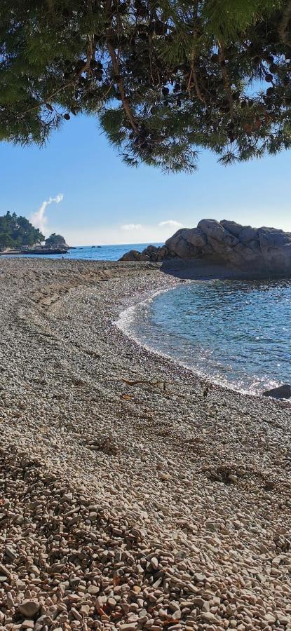 Couette-café Sea House 4*